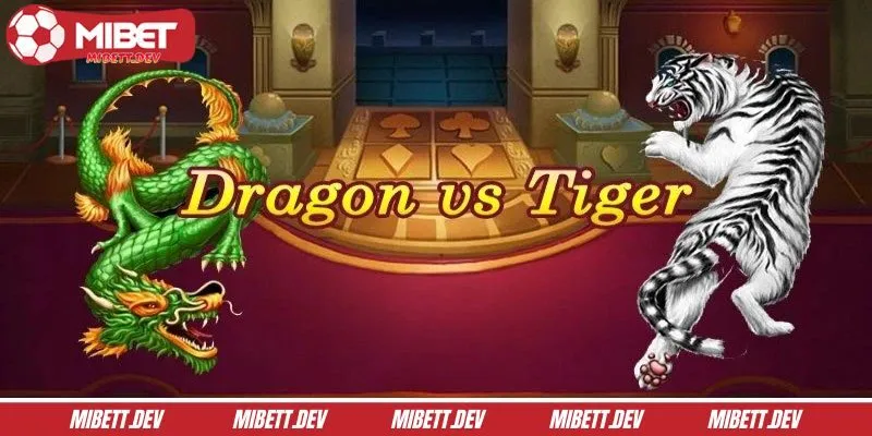 Sơ lược về rồng hổ là gì tại MIBET