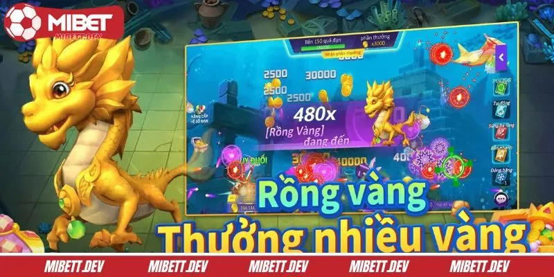 Áp dụng mẹo để thắng nhanh khi chơi săn rồng vàng